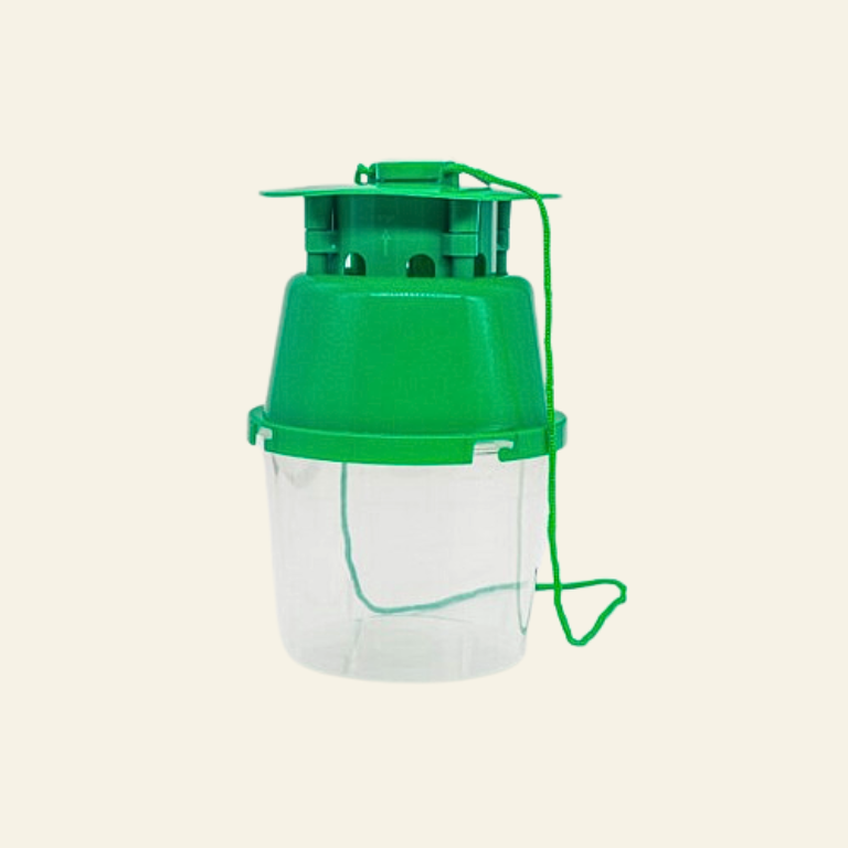 Small Horse Chestnut Leaf Miner Pheromone Trap