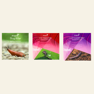 NEW: Grub Killer Nematodes Bundle: Control Leatherjackets, Slugs & Vine Weevils