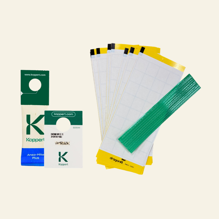 NEW: Whitefly Killer Bundle: Predatory Mites, Parasitic Wasps & Sticky Traps