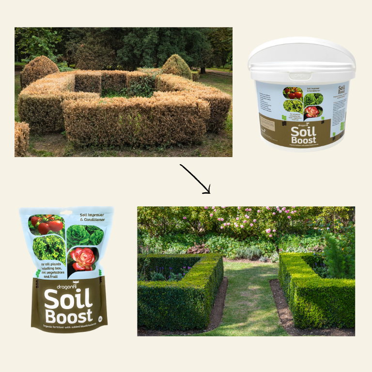 Soil Boost - Organic Fertiliser & Soil Improver