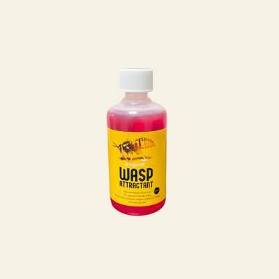 Wasp Attractant - For Use In Dragonfli Wasp Traps