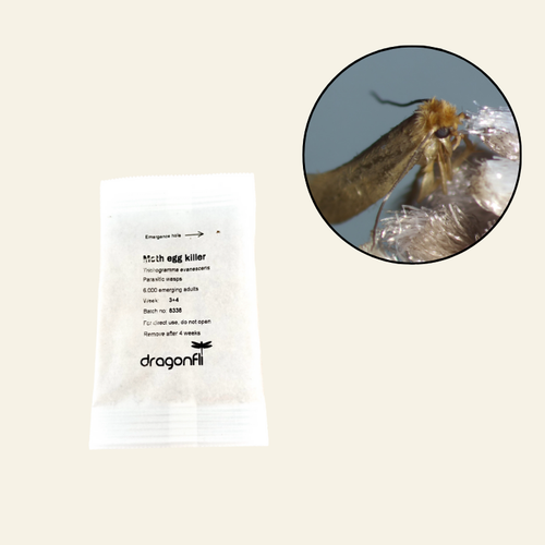 Clothes Moth Egg Killer Sachets (Trichogramma Parasitic Wasps, As Seen On TV!) - Ready To Use, Simply Place In Wardrobes & Other Infestation Hotspots