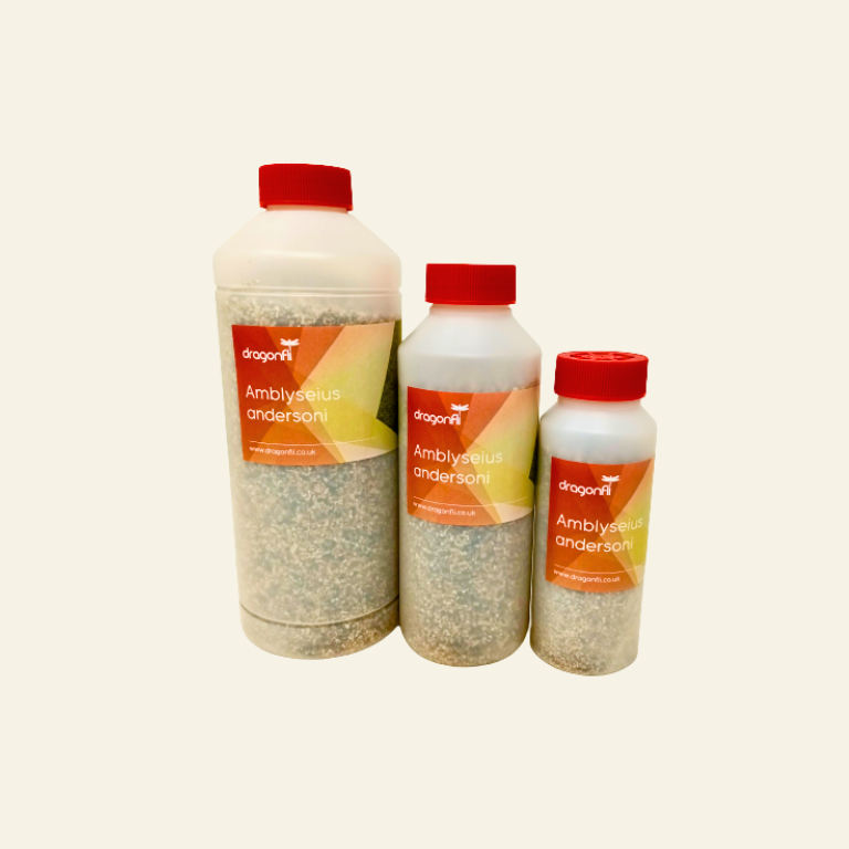 Broad Mite Killer - Amblyseius andersoni