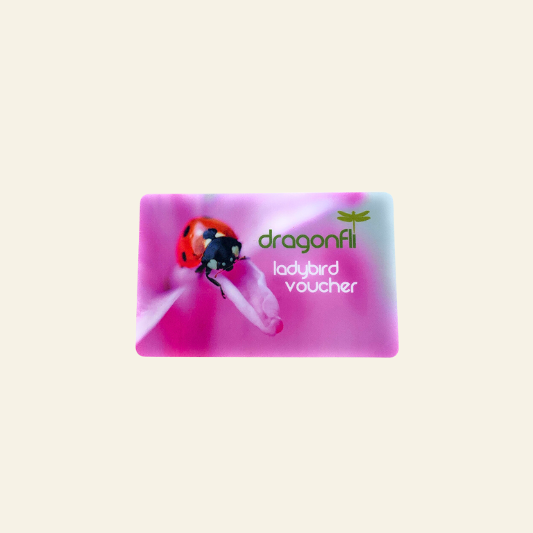 Dragonfli Live Ladybird Lodge
