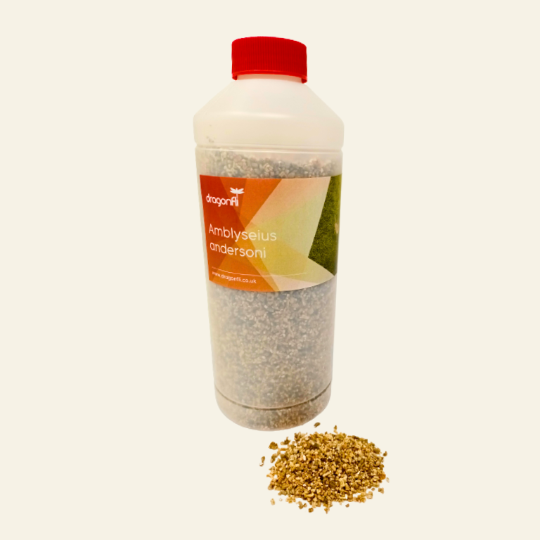 Broad Mite Killer - Amblyseius andersoni