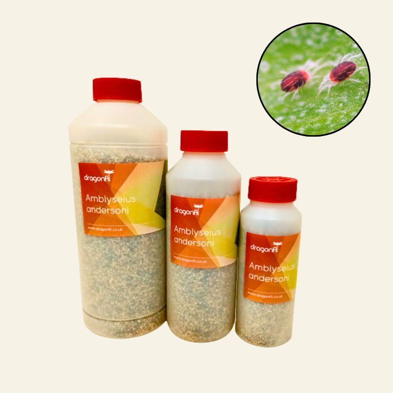 Fruit Tree Mite Killer - Amblyseius andersoni