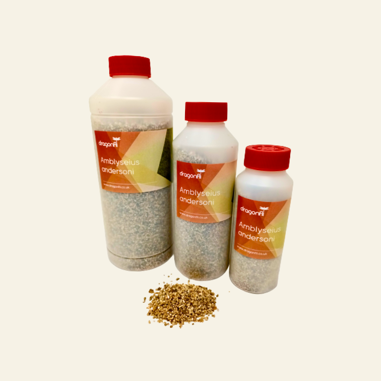 Broad Mite Killer - Amblyseius andersoni