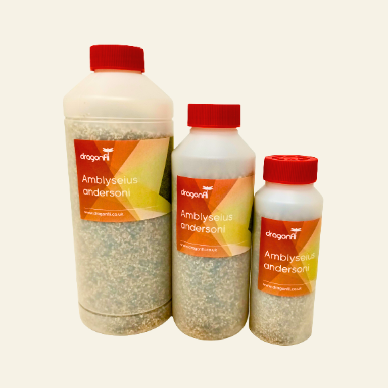 Broad Mite Killer - Amblyseius andersoni