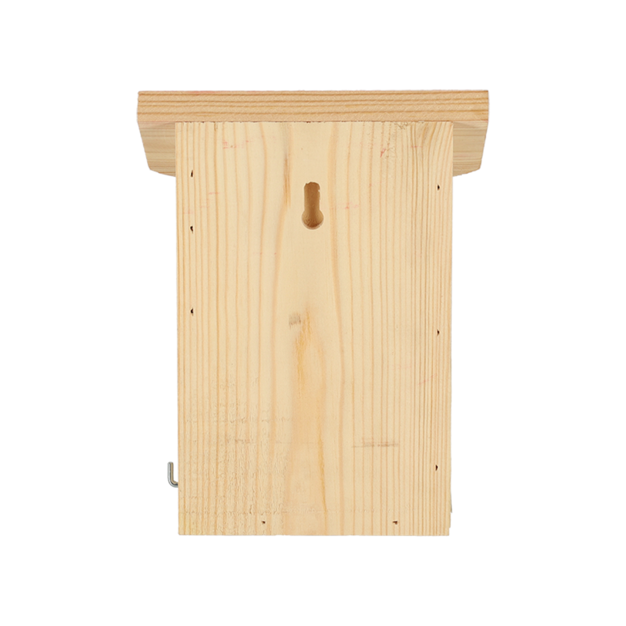 Dragonfli Live Ladybird Lodge