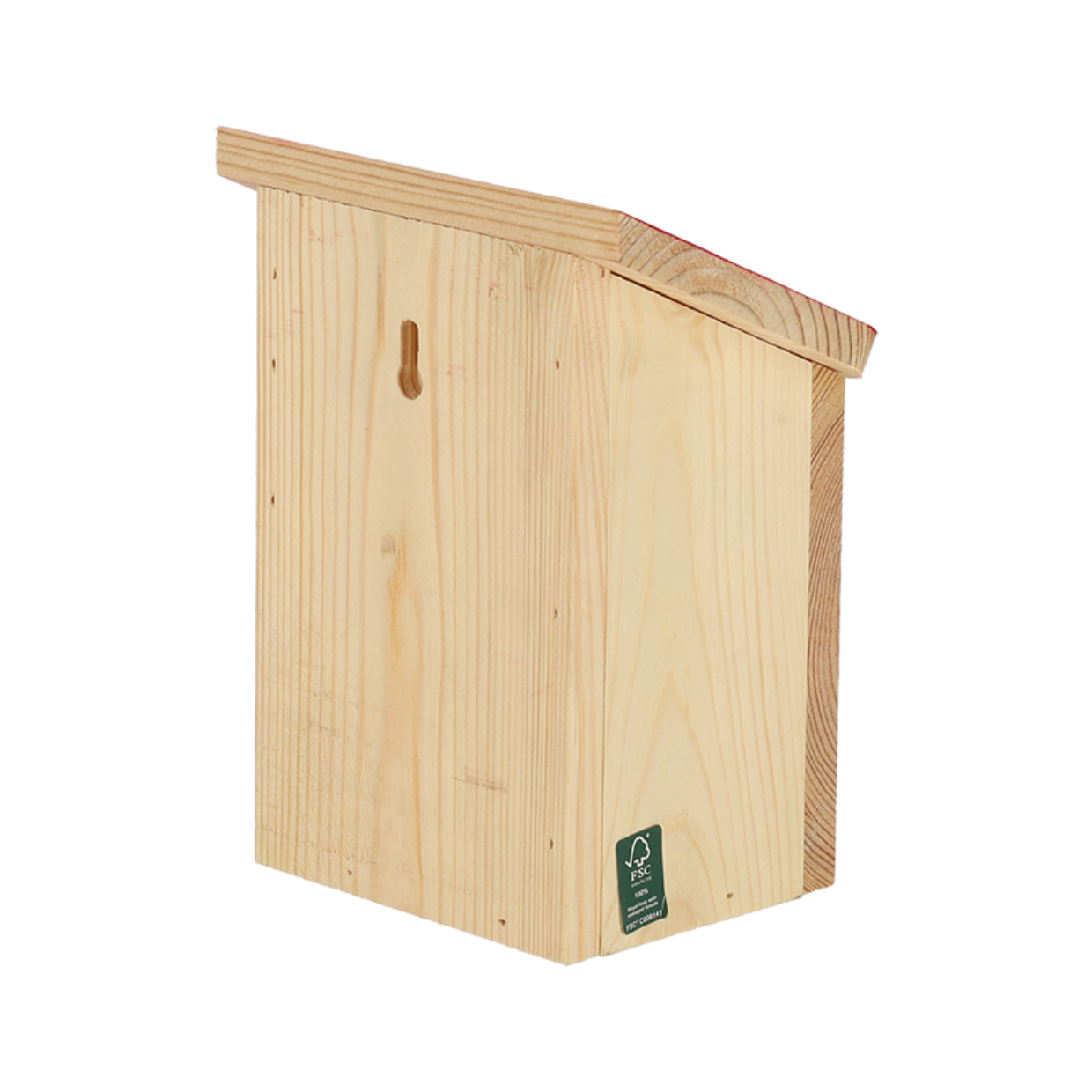 Dragonfli Live Ladybird Lodge