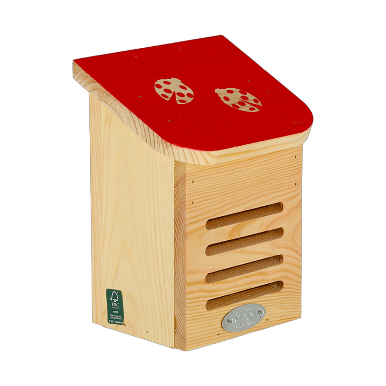 Dragonfli Live Ladybird Lodge