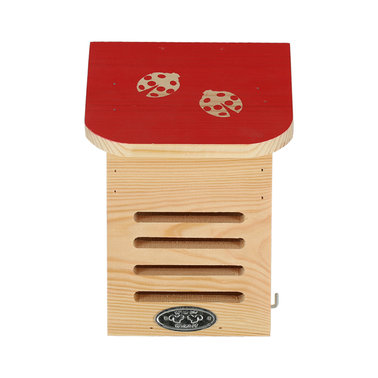 Dragonfli Live Ladybird Lodge