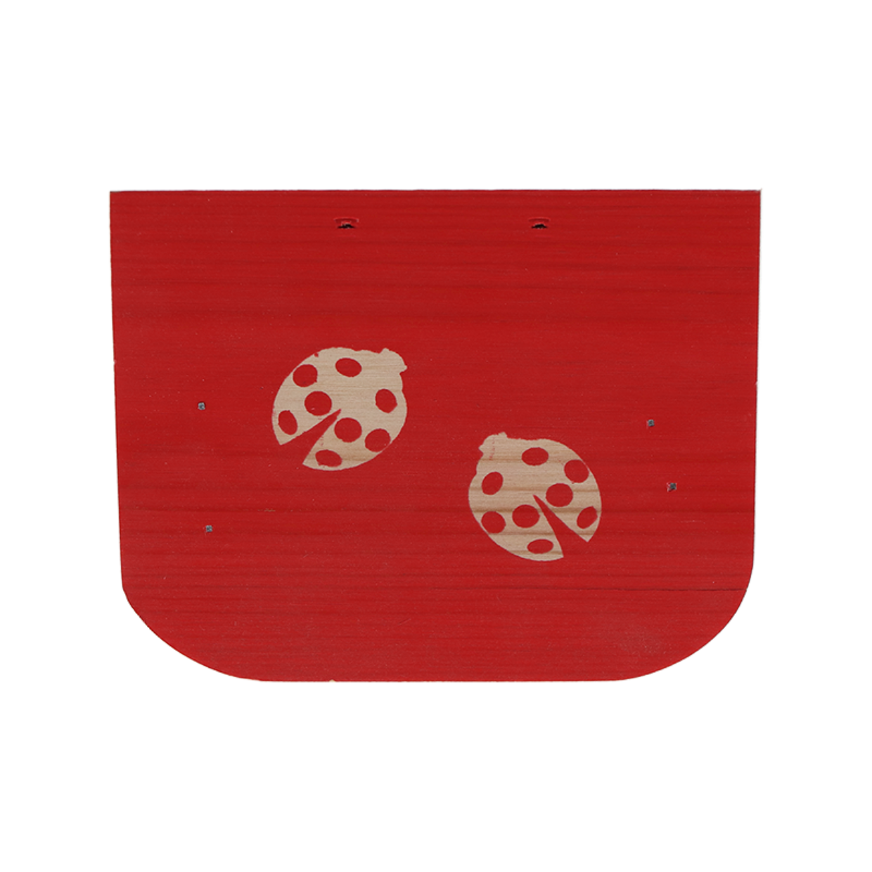 Dragonfli Live Ladybird Lodge