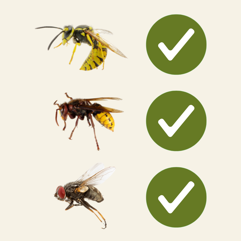 Vespa Wasp Trap With Attractant