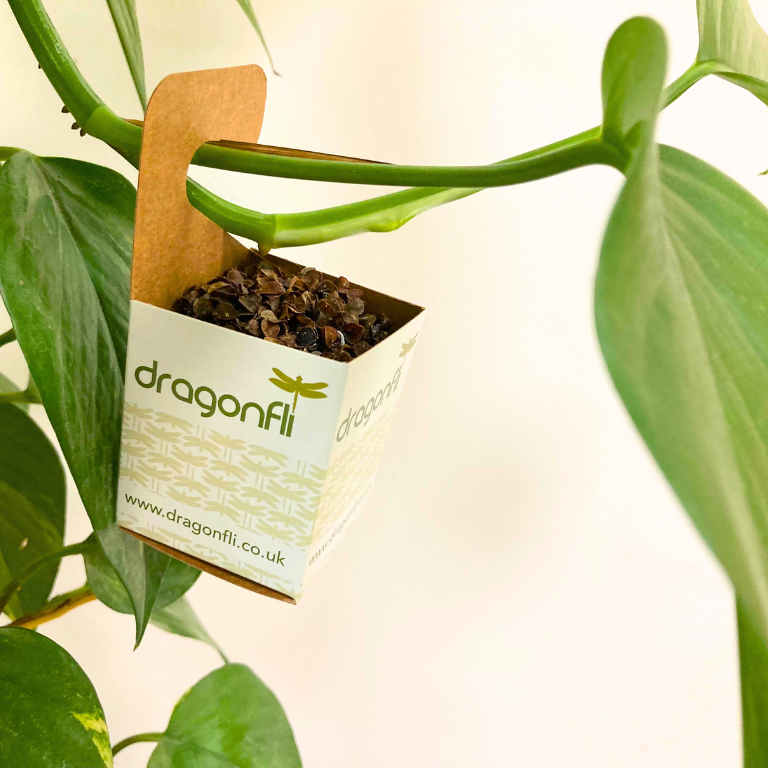 Distribution Box - Easily Apply Your Natural Predators, Hang From Plants