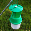 Garden Chafer Beetle Attractant Lure