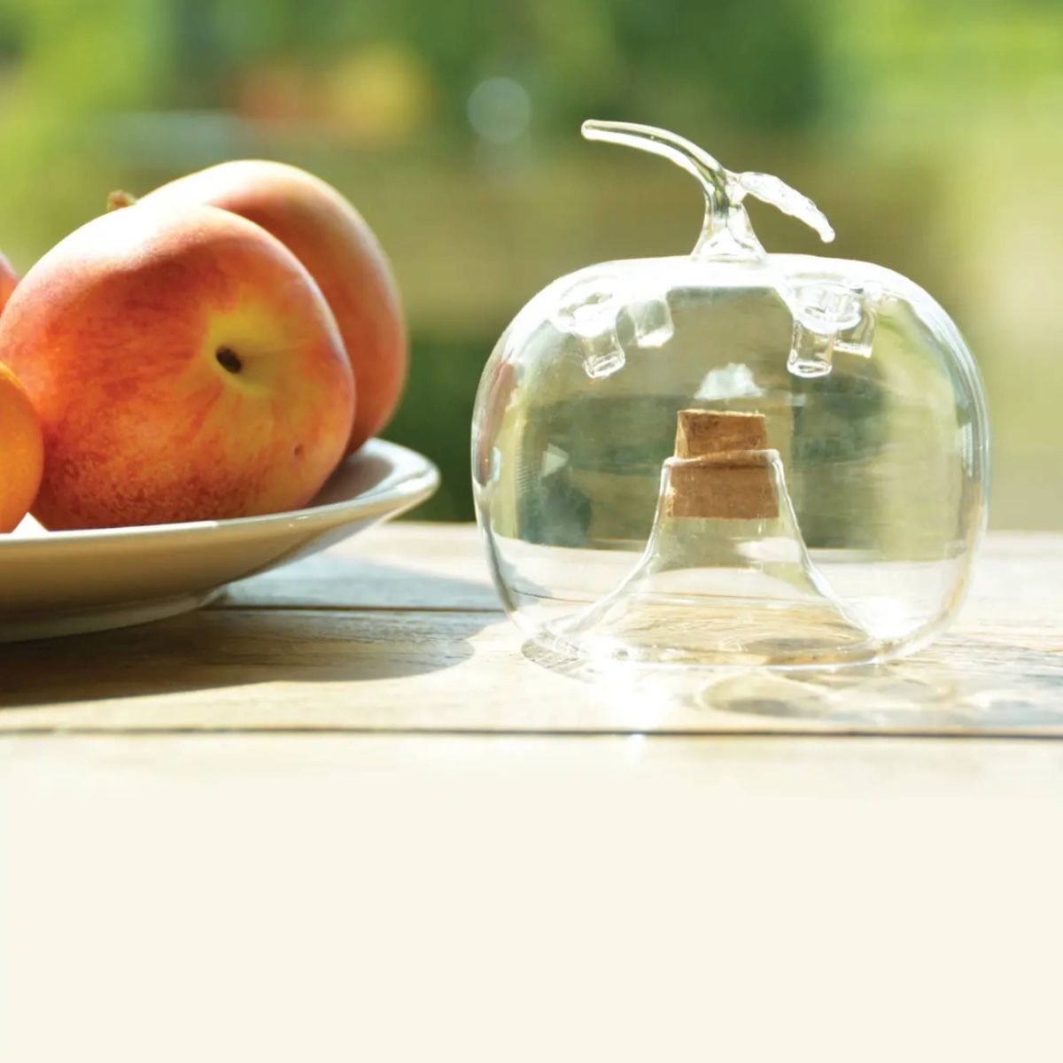 Apple Shaped Fruit Fly Traps (Supplied With Attractant) - For Indoor Use