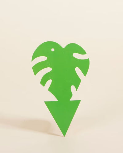 Dragonfli Mini Monstera Leaf Green Sticky Traps (Pack Of 5)