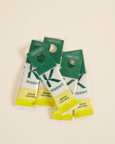 Amblyseius californicus - Foil Sachets - Spider Mite Preventative System