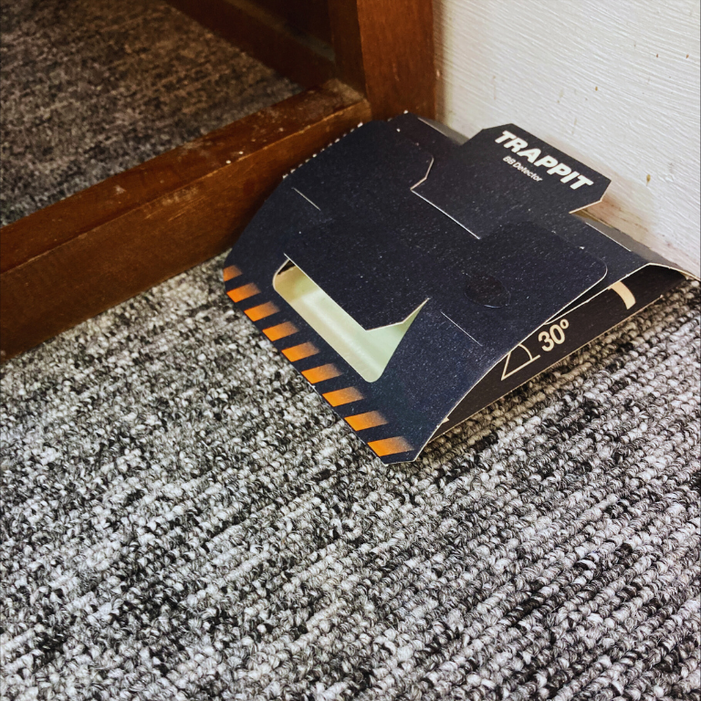 Trappit Bed Bug Trap