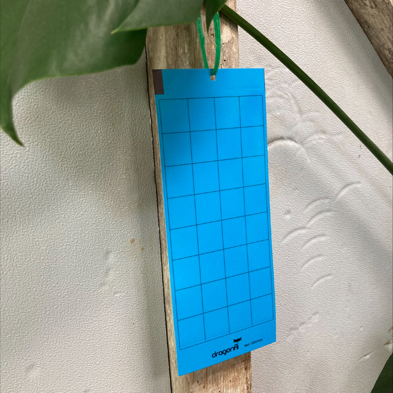 Blue Eco Sticky Insect Traps 10x25cm (Pack of 10)