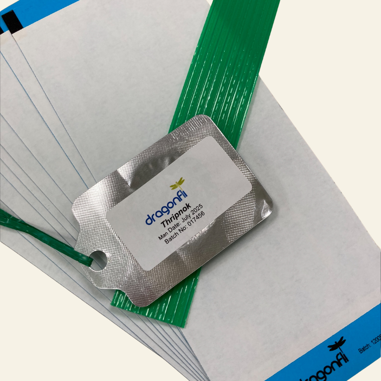 Thrip Traps & Attractant Lure (Pack of 10)