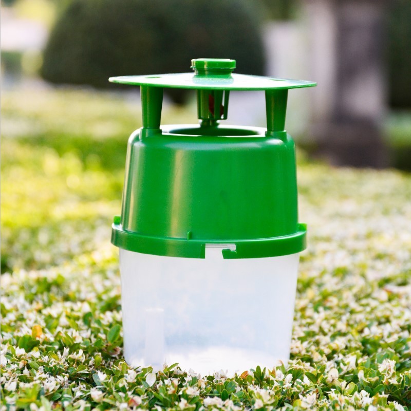 Box Tree Moth Pheromone Trap