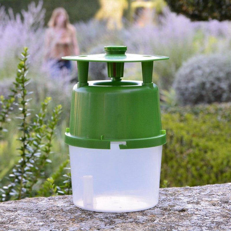 Box Tree Moth Pheromone Trap