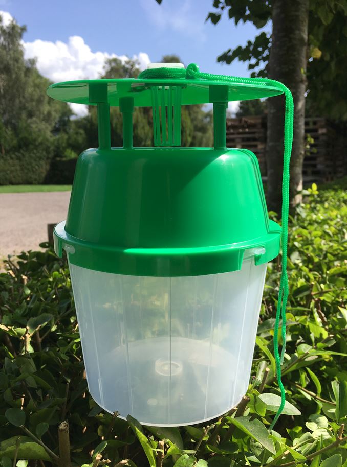 Horse Chestnut Leaf Miner Pheromone Trap
