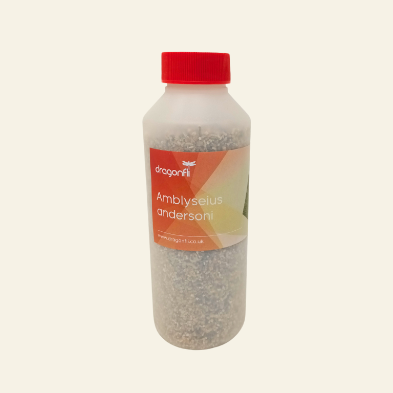 Amblyseius andersoni Predators - Spider Mite Preventative System