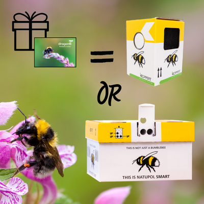 Gift Voucher For Live Bumblebee Colonies Or Pocket-Sized Hives - A Perfect Gift For Gardener's - Deliveries Available Across Spring & Summer 2025