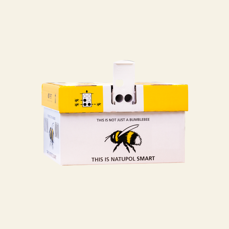 Live Bumblebee Colonies - Available To Order Now For Spring & Summer 2026 (Select Your Preferred Delivery Date)