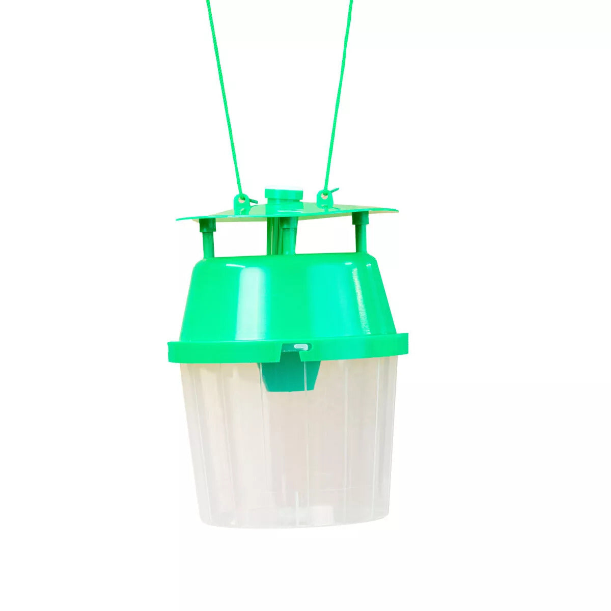 Horse Chestnut Leaf Miner Pheromone Trap