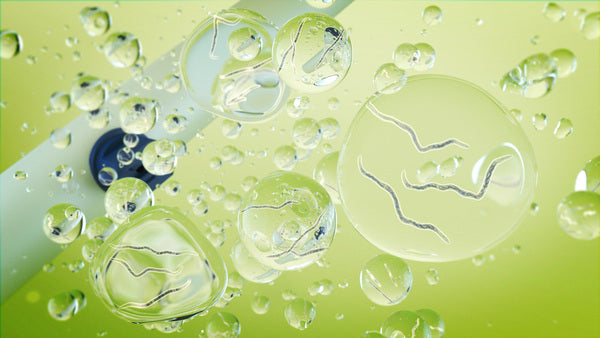 NemAssist - Nematode Additive: Improve Nematode Applications On Leaves