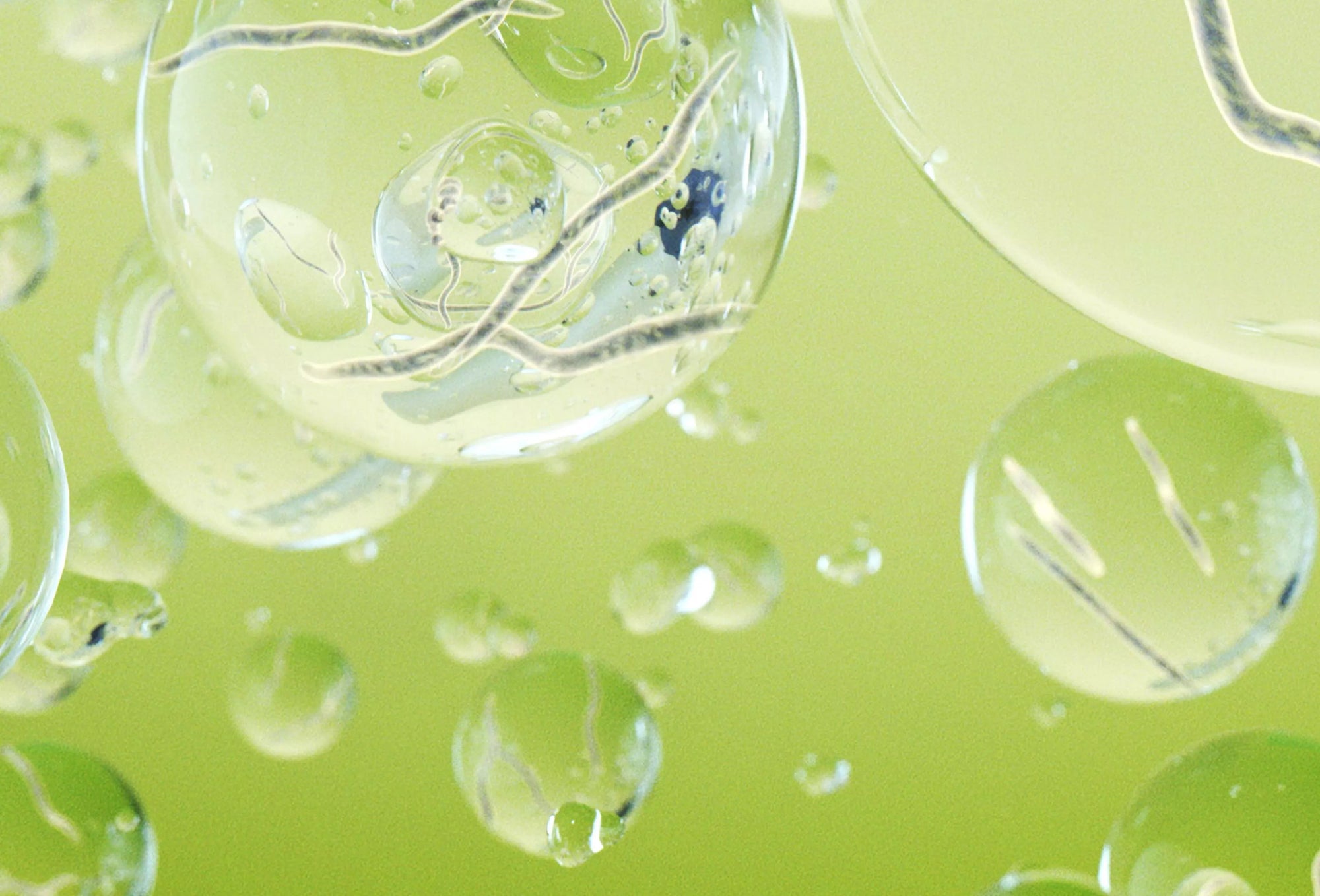 NemAssist - Nematode Additive: Improve Nematode Applications On Leaves