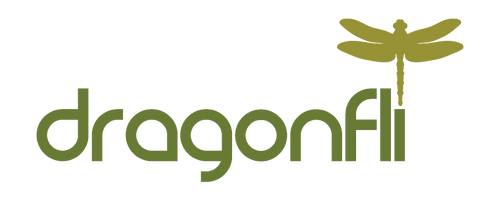 Dragonfli Company Logo 