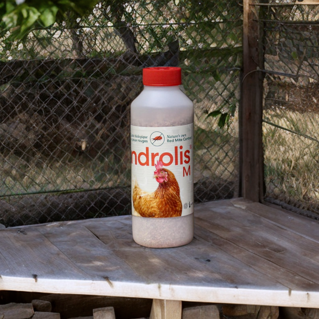 Androlis Chicken Mite Predators