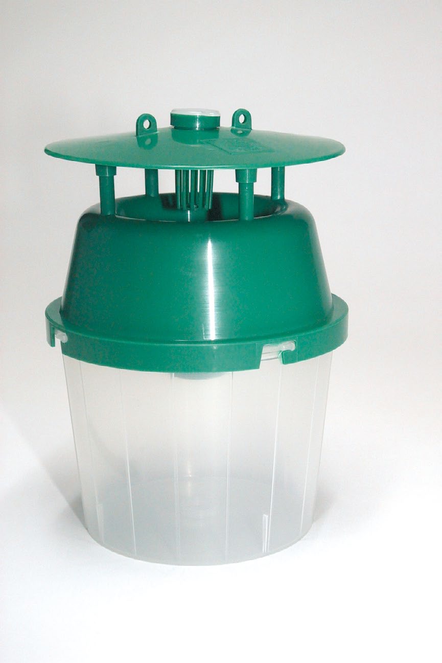 Horse Chestnut Leaf Miner Pheromone Trap