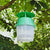 Large Horse Chestnut Leaf Miner Pheromone Trap