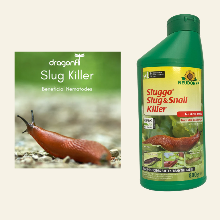 Natural Slug & Snail Killer Bundle: Nematodes & Organic Pellets