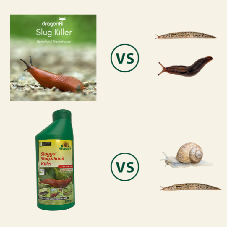 Natural Slug & Snail Killer Bundle: Nematodes & Organic Pellets