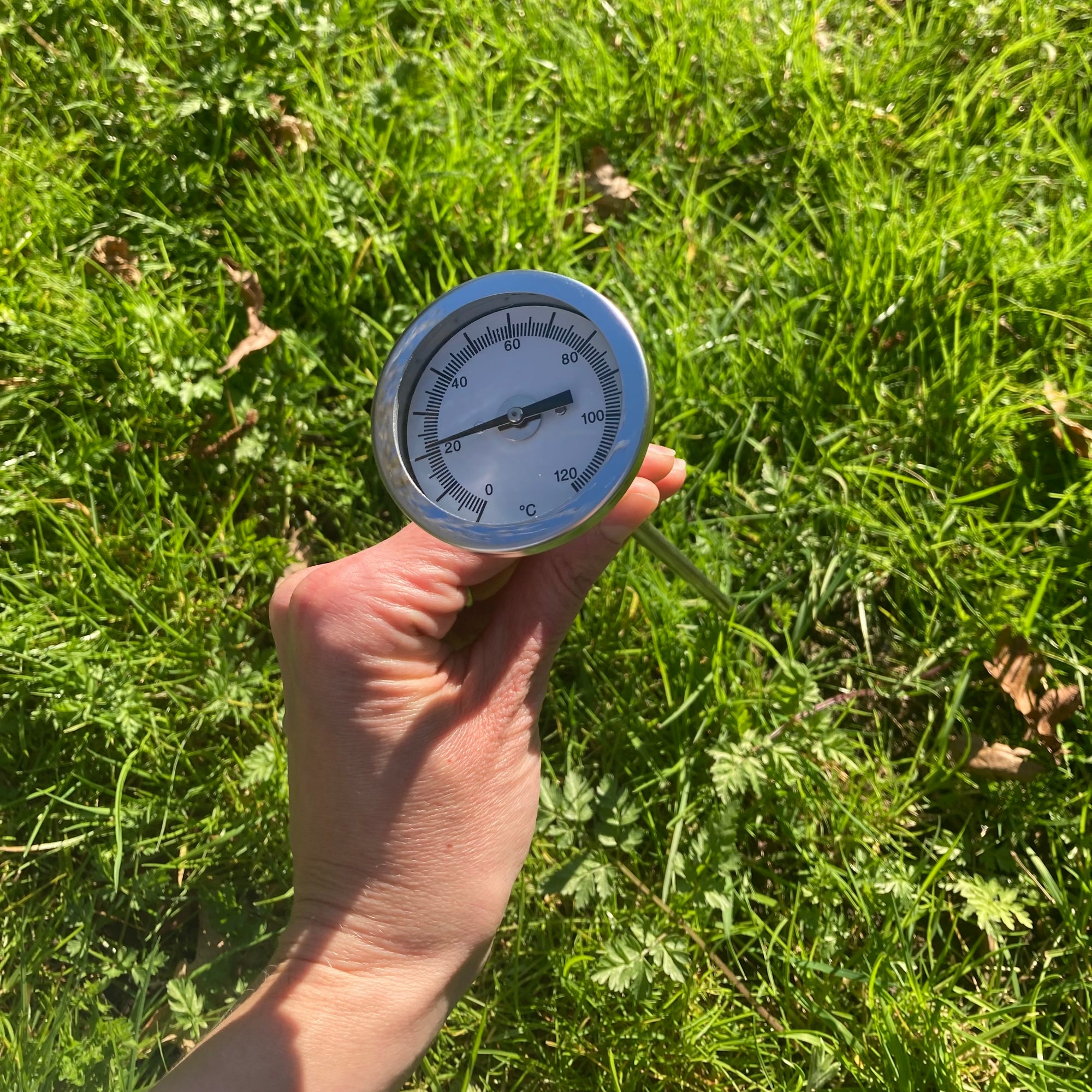 Dragonfli Soil Thermometer