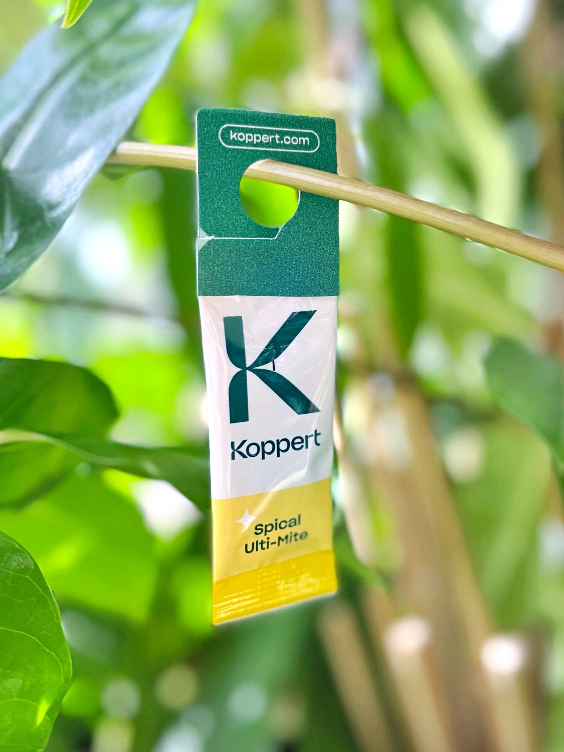 Amblyseius californicus - Foil Sachets - Spider Mite Preventative System