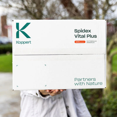 Spidex Vital Plus - Curative Spider Mite Control Sachets