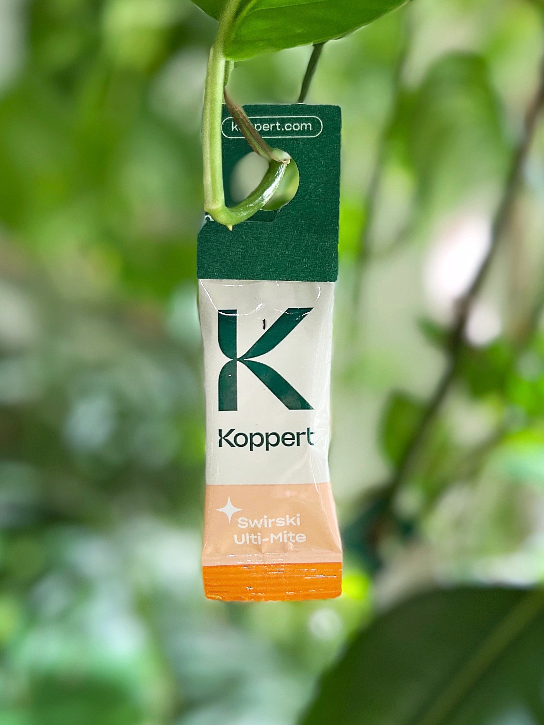 Amblyseius swirskii - Foil Sachets - Thrip Preventative System