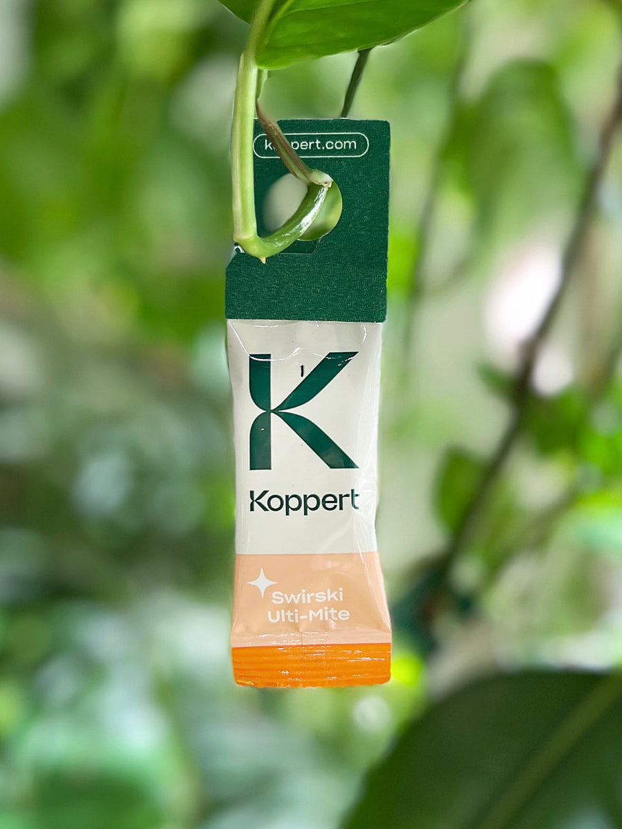 Amblyseius swirskii - Foil Sachets - Thrip Preventative System