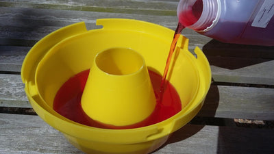 Vespa Wasp Trap With Attractant