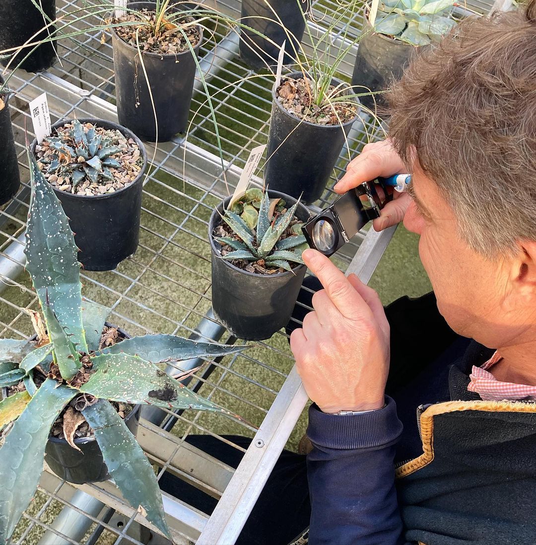 Dragonfli Metal Magnifying Glass - Observe Pests & Predators