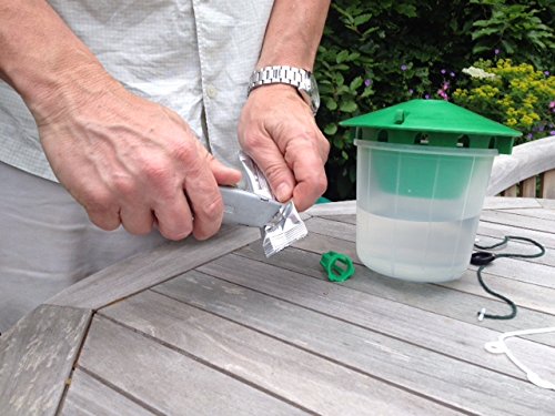 Codling Moth Pheromone Trap - Dragonfli