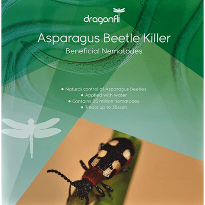 Asparagus Beetle Killer Nematodes